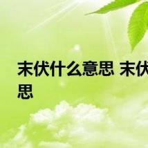 末伏什么意思 末伏的意思