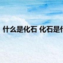 什么是化石 化石是什么