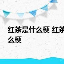 红茶是什么梗 红茶是什么梗
