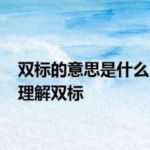 双标的意思是什么 怎么理解双标
