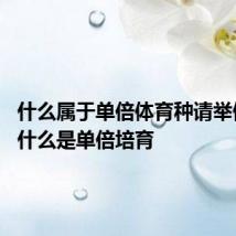 什么属于单倍体育种请举例说明 什么是单倍培育
