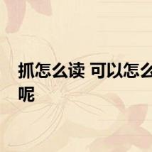 抓怎么读 可以怎么解释呢
