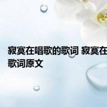 寂寞在唱歌的歌词 寂寞在唱歌的歌词原文