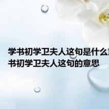 学书初学卫夫人这句是什么意思 学书初学卫夫人这句的意思