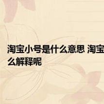 淘宝小号是什么意思 淘宝小号怎么解释呢