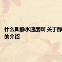 什么叫静水速度啊 关于静水速度的介绍
