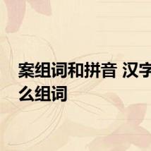 案组词和拼音 汉字案怎么组词