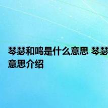 琴瑟和鸣是什么意思 琴瑟和鸣的意思介绍