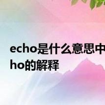 echo是什么意思中文 echo的解释