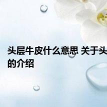 头层牛皮什么意思 关于头层牛皮的介绍
