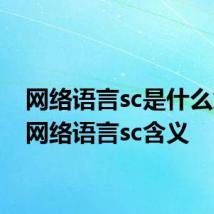 网络语言sc是什么意思 网络语言sc含义
