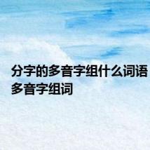 分字的多音字组什么词语 分字的多音字组词