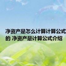净资产是怎么计算计算公式是怎样的 净资产是计算公式介绍