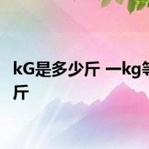 kG是多少斤 一kg等于二斤