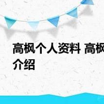高枫个人资料 高枫歌手介绍
