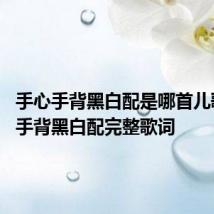 手心手背黑白配是哪首儿歌 手心手背黑白配完整歌词