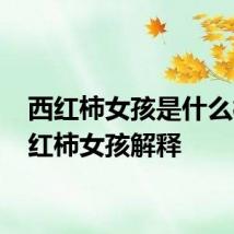 西红柿女孩是什么梗 西红柿女孩解释