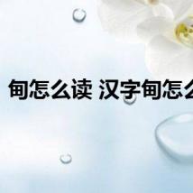 甸怎么读 汉字甸怎么读