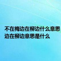 不在梅边在柳边什么意思 不在梅边在柳边意思是什么