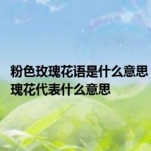 粉色玫瑰花语是什么意思 粉色玫瑰花代表什么意思