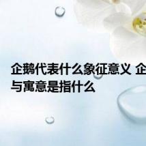企鹅代表什么象征意义 企鹅象征与寓意是指什么