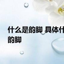 什么是韵脚 具体什么是韵脚