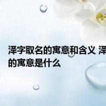 泽字取名的寓意和含义 泽字取名的寓意是什么