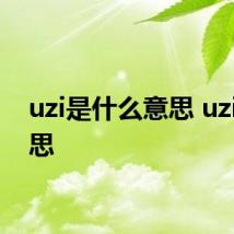 uzi是什么意思 uzi的意思