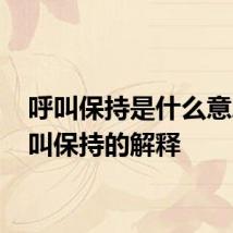 呼叫保持是什么意思 呼叫保持的解释