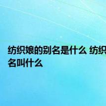 纺织娘的别名是什么 纺织娘的别名叫什么