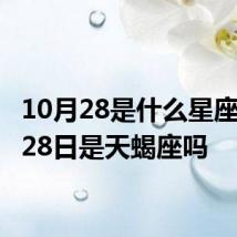 10月28是什么星座 10月28日是天蝎座吗