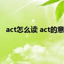 act怎么读 act的意思