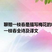 聊赠一枝春是描写梅花的吗 聊赠一枝春全诗及译文
