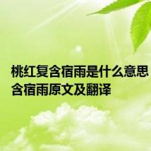 桃红复含宿雨是什么意思 桃红复含宿雨原文及翻译