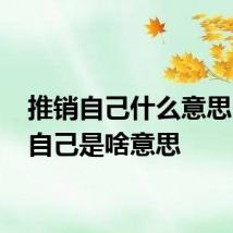 推销自己什么意思 推销自己是啥意思