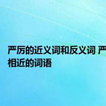 严厉的近义词和反义词 严厉意思相近的词语