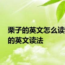 栗子的英文怎么读 栗子的英文读法