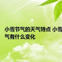 小雪节气的天气特点 小雪节气天气有什么变化