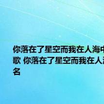 你落在了星空而我在人海中是什么歌 你落在了星空而我在人海中的歌名