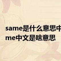same是什么意思中文 same中文是啥意思