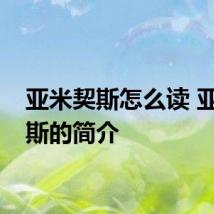 亚米契斯怎么读 亚米契斯的简介