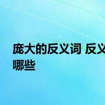 庞大的反义词 反义词有哪些