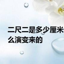 二尺二是多少厘米 尺怎么演变来的