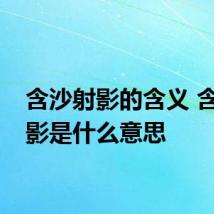 含沙射影的含义 含沙射影是什么意思