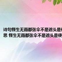 诗句怪生无雨都张伞不是遮头是使风的意思 怪生无雨都张伞不是遮头是使风释义