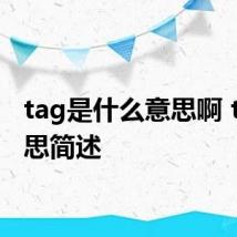 tag是什么意思啊 tag意思简述