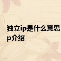 独立ip是什么意思 独立ip介绍