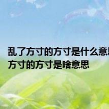 乱了方寸的方寸是什么意思 乱了方寸的方寸是啥意思