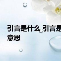 引言是什么 引言是什么意思