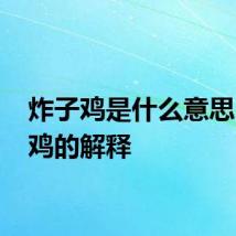 炸子鸡是什么意思 炸子鸡的解释
